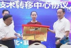 襄阳一中最新爆料消息,揭秘校园风云背后的故事