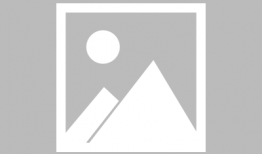 凋零风暴最新爆料,揭秘神秘事件背后的惊人真相