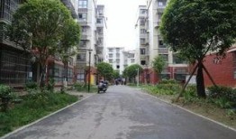 城南小区最新爆料,揭秘神秘事件背后的真相