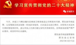 合肥企业爆料事件最新消息,揭秘背后真相与影响