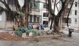 唐店新村爆料最新消息