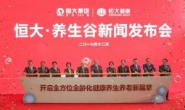 佳润最新爆料消息新闻发布会,新闻发布会深度解析行业动态与热点事件