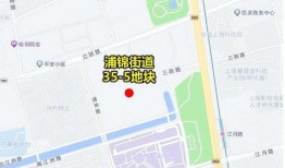 浦锦街道爆料视频最新,揭秘社区生活新动态
