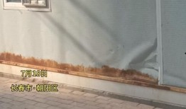 长春核酸爆料最新消息,揭秘病毒检测背后的故事