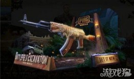 最新和平精英军需皮肤爆料,炫酷造型，等你来战！