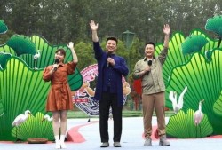 青岛雨后爆料视频最新消息,最新视频揭示惊人景象