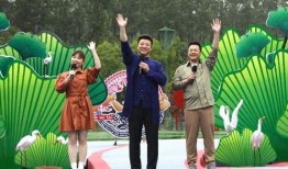 青岛雨后爆料视频最新消息,最新视频揭示惊人景象