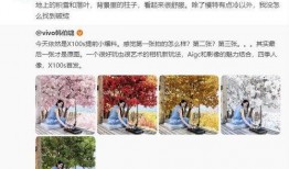 x100s图片最新爆料,极致摄影体验，引领影像新潮流”