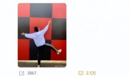 刘丁硕最新动态爆料,揭秘娱乐圈幕后真相