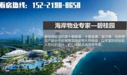 吴川最新爆料网站大全,一网打尽热门资讯平台