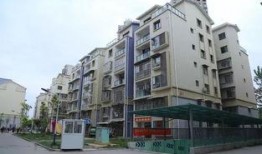 城南小区最新爆料,揭秘神秘事件背后的真相