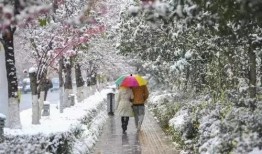 昆明爆料下雪事件最新情况,市民欢声笑语迎瑞雪