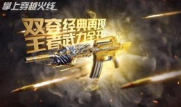 cfm王者轮回2025最新爆料,全新爆料揭秘，巅峰对决即将开启！