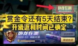 卧龙在渊赏金令最新爆料,神秘势力浮出水面，揭秘幕后黑手