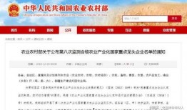 合肥企业爆料事件最新消息,揭秘背后真相与影响