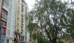 绿洲小区爆料最新消息新闻,揭秘小区神秘事件真相！