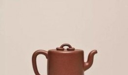 紫砂爆料新闻视频最新