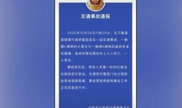 镇江宠物爆料事件最新进展,最新调查结果及后续进展揭晓