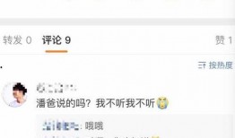 潘伟博最新爆料消息视频,事件真相与幕后黑幕