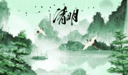 清明最新爆料,重磅爆料揭秘幕后故事