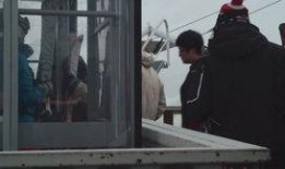 最新爆料暴雪视频下载大全,最新爆料尽收眼底