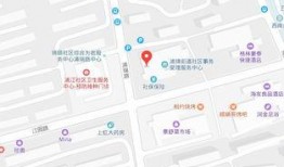 浦锦街道爆料视频最新,揭秘社区生活新动态