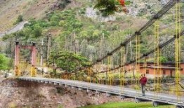 最新爆料绿山路,揭秘神秘项目背后的真相与未来展望